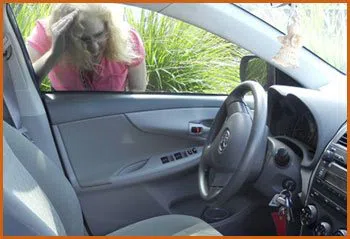 Village Locksmith Store Raleigh, NC 919-762-6246 - 15-emergency-lockout